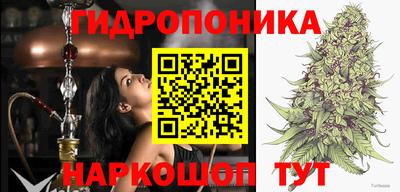 прущие крисы Гагарин
