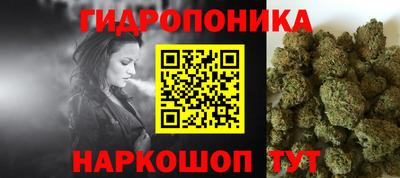 амф Гай