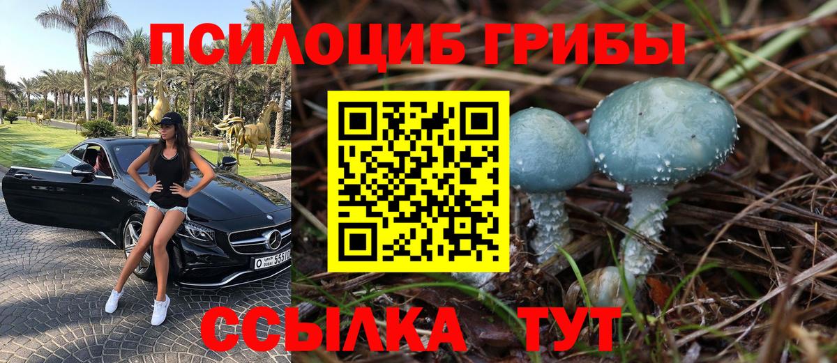 Галлюциногенные грибы MAGIC MUSHROOMS Карабулак