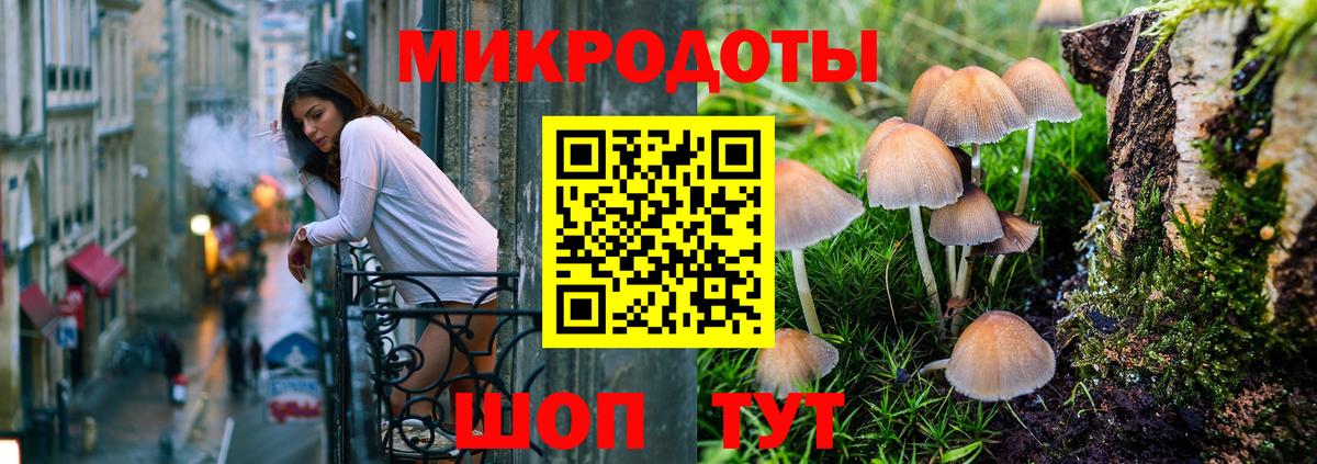 Псилоцибиновые грибы прущие грибы Карабулак