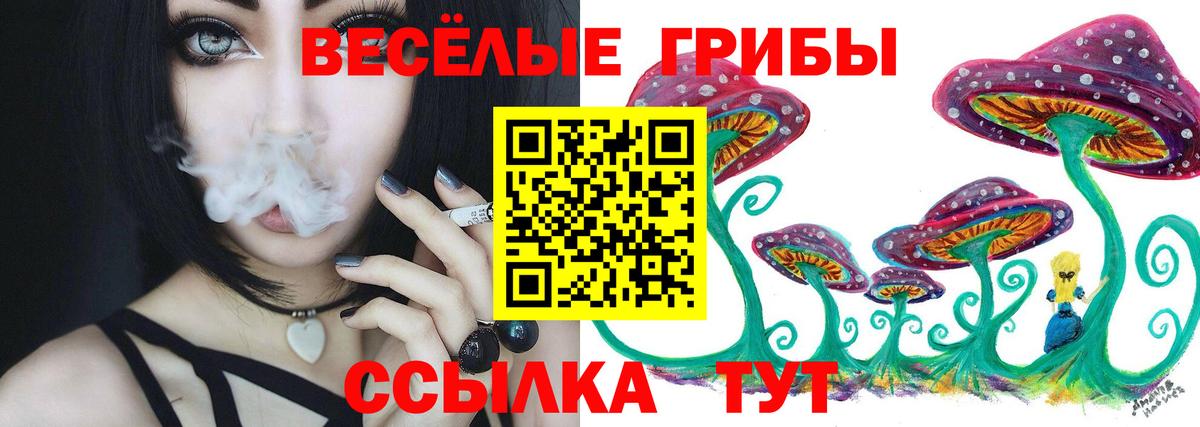 даркнет сайт  Карабулак  Псилоцибиновые грибы мухоморы 