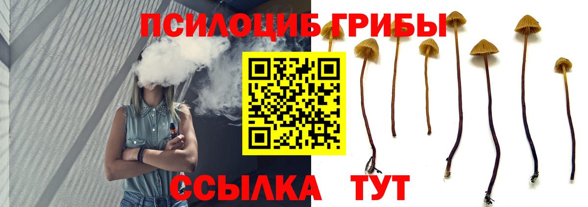 Галлюциногенные грибы Psilocybine cubensis  Вход с VPN  Карабулак  Галлюциногенные грибы прущие грибы 
